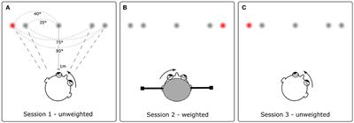 Not a general, symptom-unspecific, transdiagnostic marker for functional symptoms: sensorimotor processing of head control is intact in chronic pain